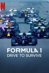 Download Formula 1 Drive to Survive (Season 1 – 6) Dual Audio {Hindi-English} WeB-DL 720p [220MB] || 1080p [2GB]